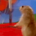 mazi99#8062's avatar