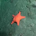 humble1602#7826's avatar