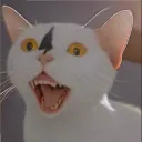 kawaiikitten