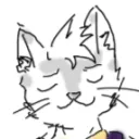 fancycatt