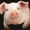 piggypiglet