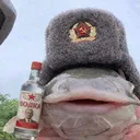 weloxy
