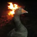 devil5auce