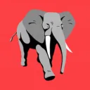 the_pachyderm