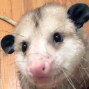 reziro
