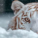 avatar PROTATEO_9901