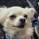 avatar PROTATEO_9901