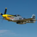 dkx