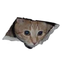 @p