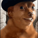 canevolante
