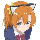 rindesk
