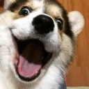 tfiala
