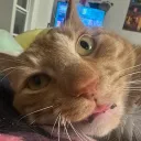 garfieldpipe