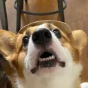 fangwild