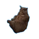 benlaarif