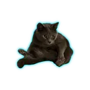 benlaarif