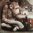 zeirio#3326's avatar