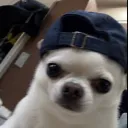 marco_lol