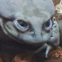 meltedmocha