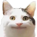sarugami