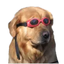 brentburgerman