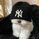 srm_dougie