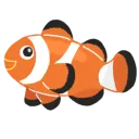 .nemotoputti