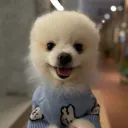 skywhitlock