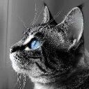retiredhero