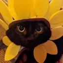 egglett.scratch