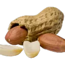 izoom