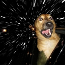 dundee3205#8884's avatar