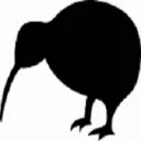 nzblackkiwi