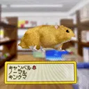 capybara.enjoyer.