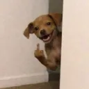 difyzen