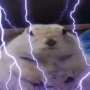 awawaepic