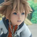 dendri