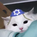 smartcat