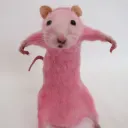 fillyb