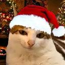 avatar massive legend