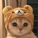 felixlulz