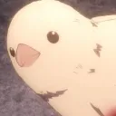 porbus