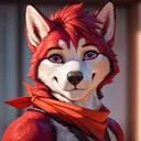 cennyhusky