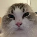 patrickz
