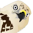 seatlon