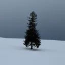 deeroh