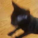 .kosmo