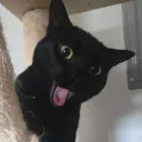 cbdrva