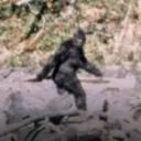 blurry_footage