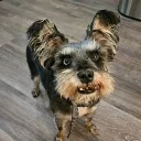billbone